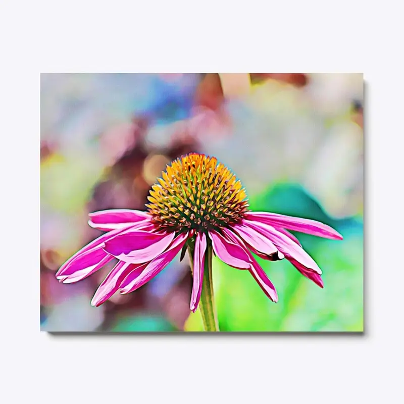 Fuchsia Coneflower