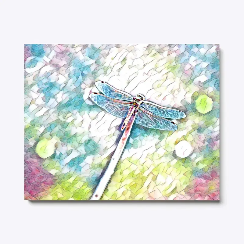 Iridescent Dragonfly