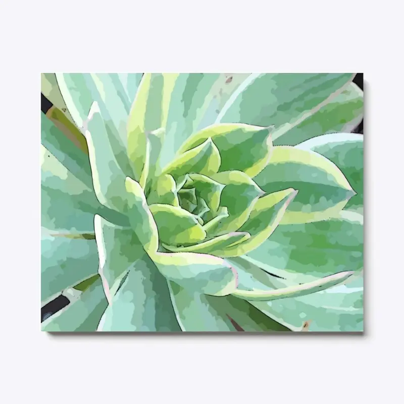 Serene Succulent