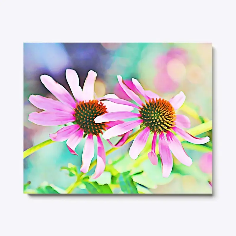 Pink Coneflowers